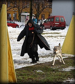 O kapra Karla Hartla