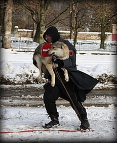 O kapra Karla Hartla