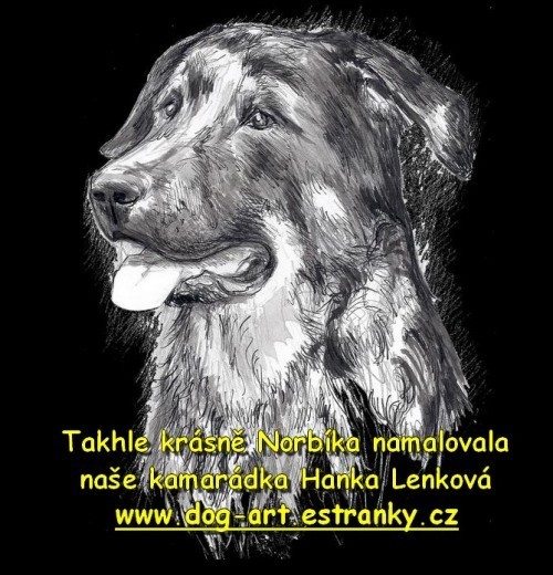 KRESBY-HANA LENKOVÁ